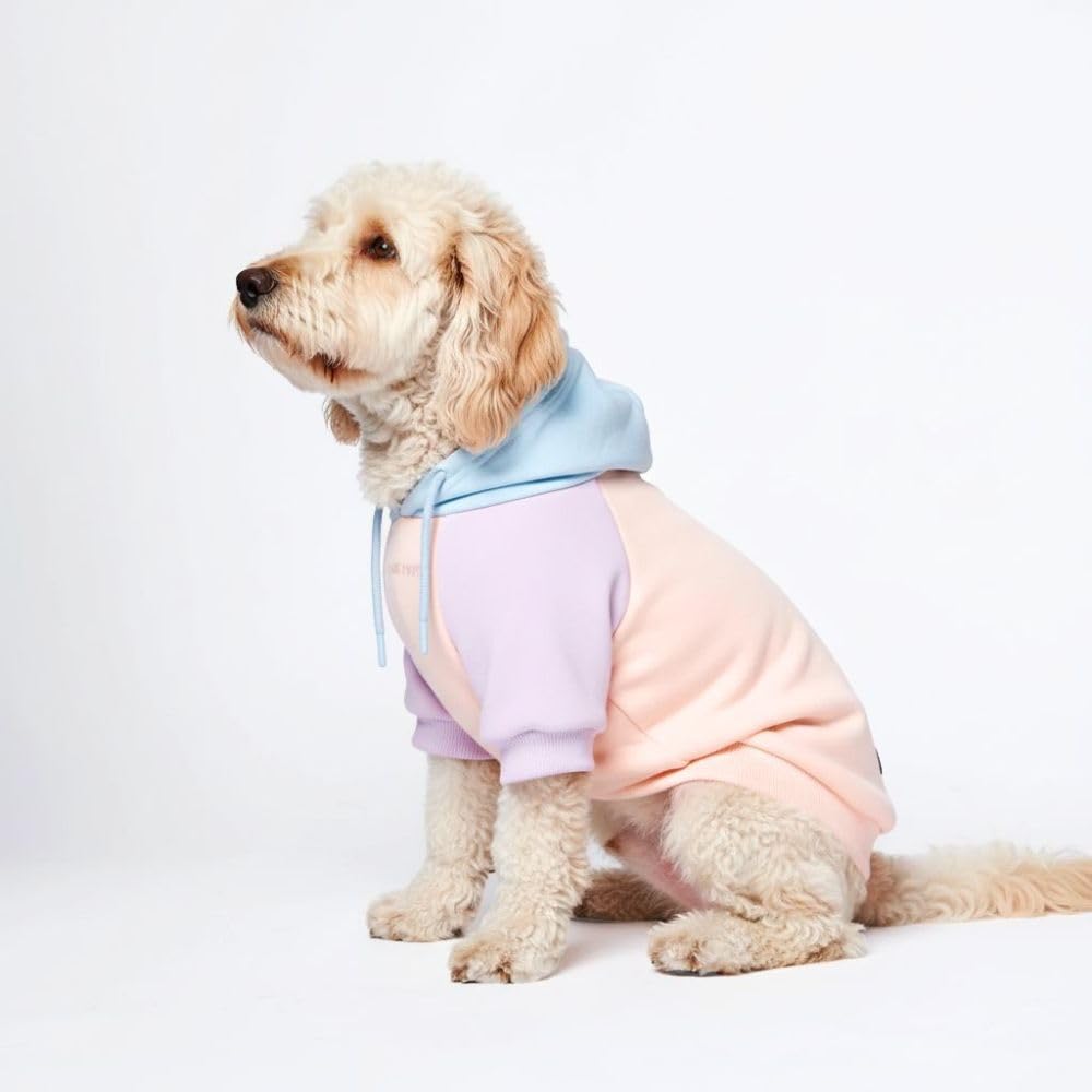 Dog Hoodie Buttery (Cotton Candy / Medium)