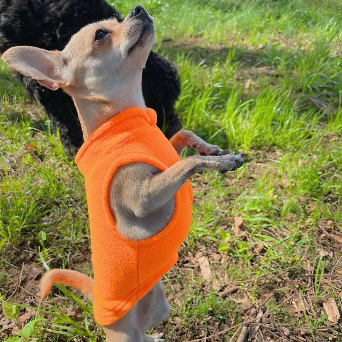 Dog Fleece Vest Sweater with Leash Ring (XXL (25-35lbs) / Orange)