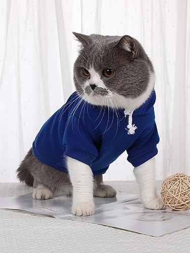 QWEEE Basic Dog Hoodie (Small / Royal Blue)