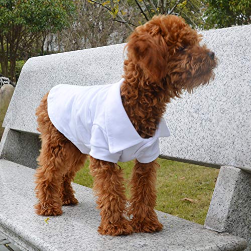 Basic Dog Polo Shirts Premium Cotton (XS (-6lbs) / White)