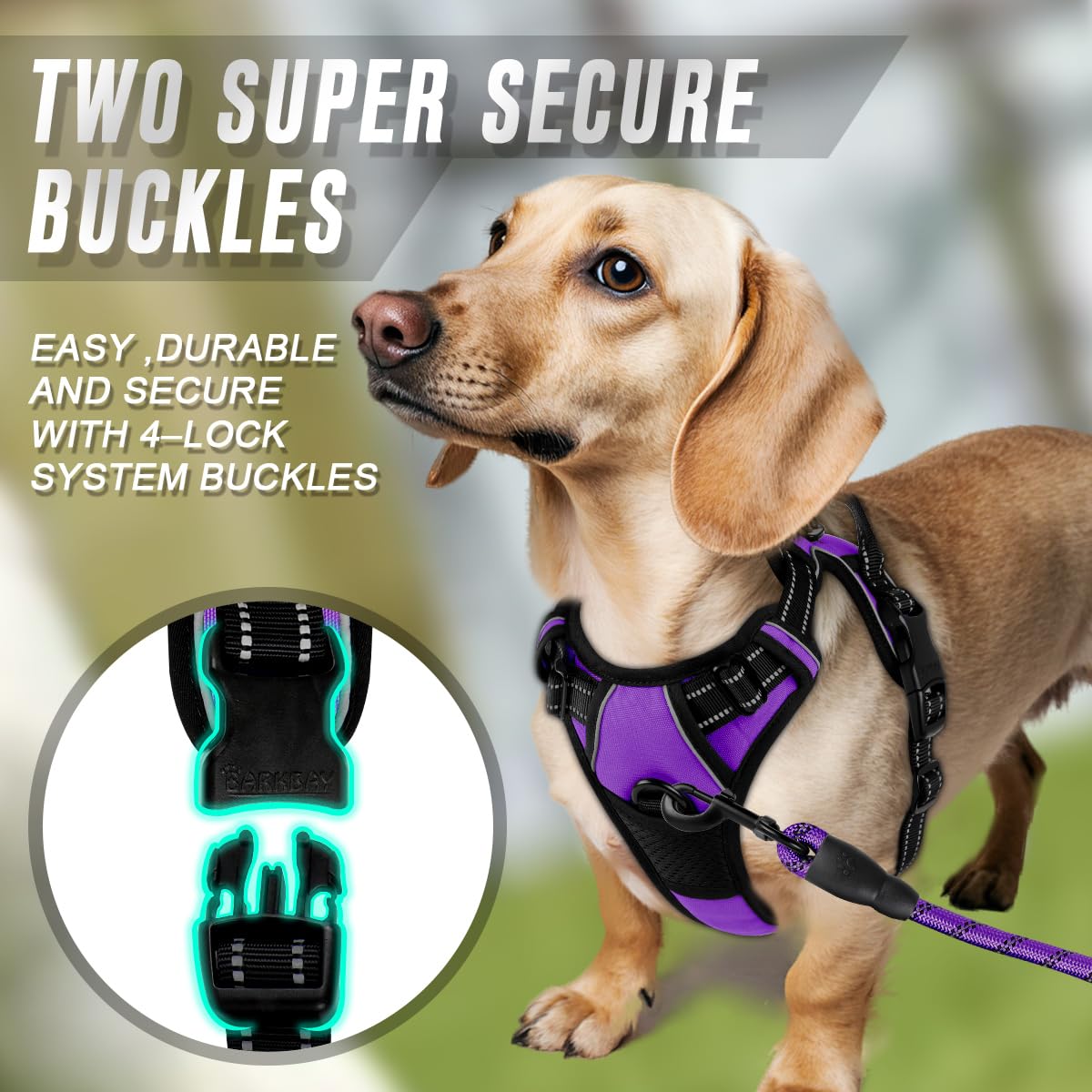 Dog Harness No Pull for Small Sized Dog Front Back Clips (X-Small(Chest:15.5-19.5”) / Purple)