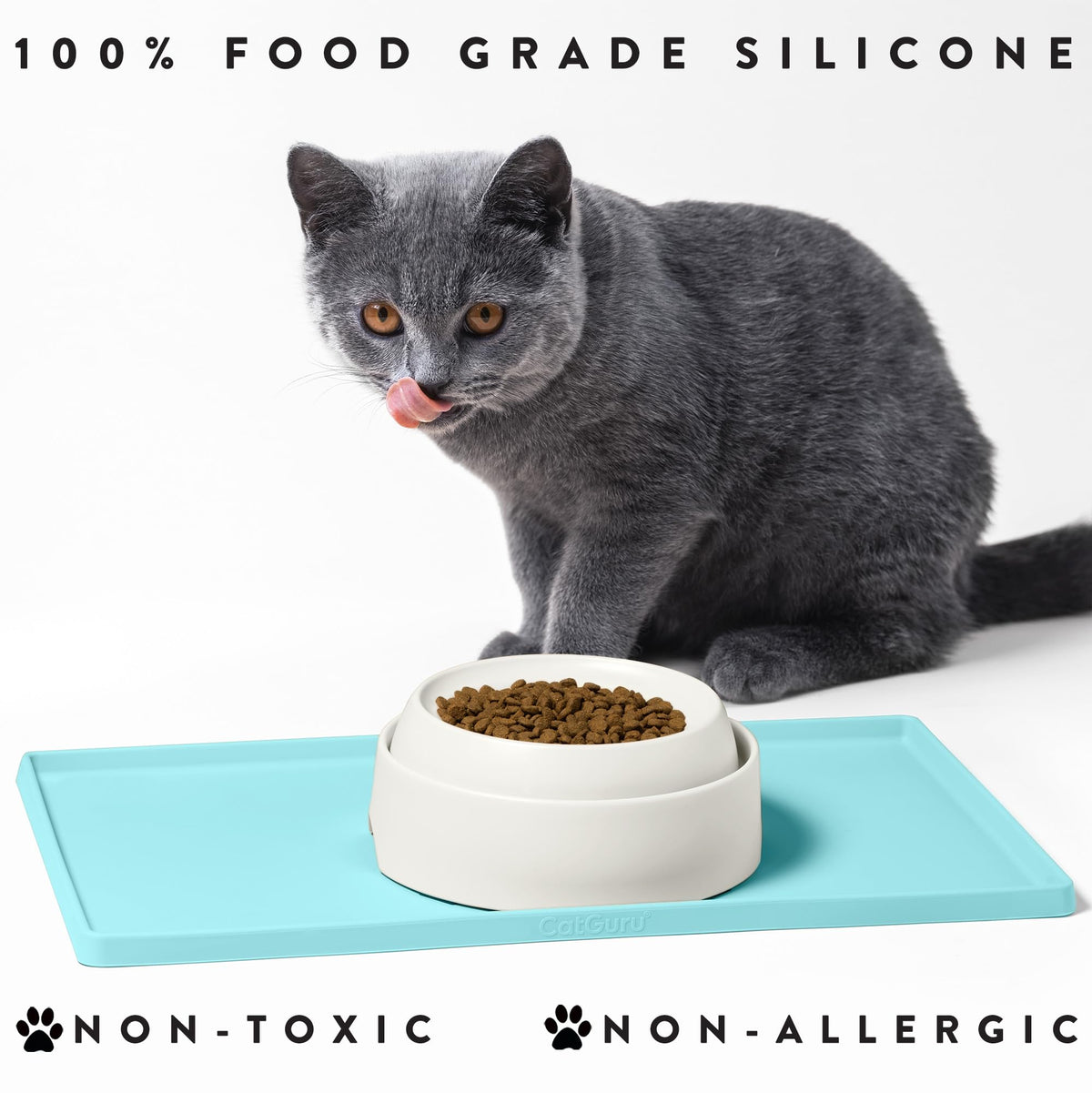 Premium Cat Food Mat (19"L x 11"W / Aruba)