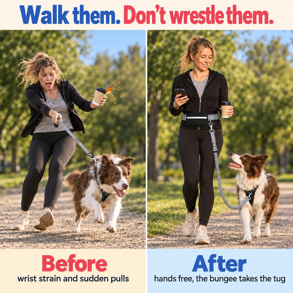 Dog Running Leash Hands Free (Silver)