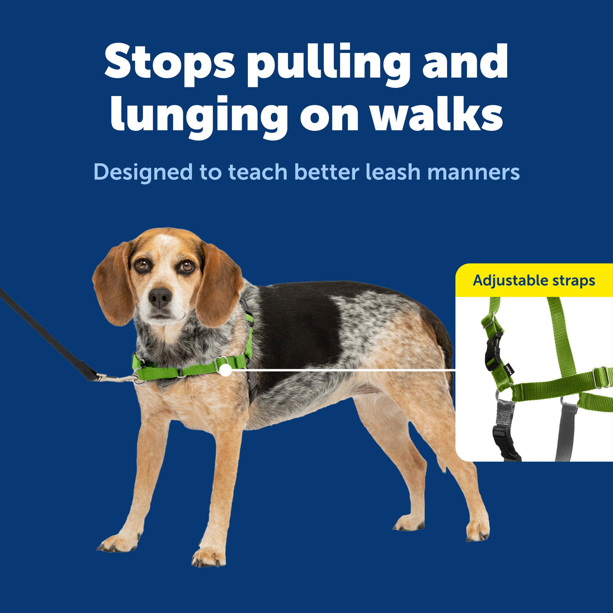 Easy Walk Harness for Dogs (Small/Medium / Apple Green)