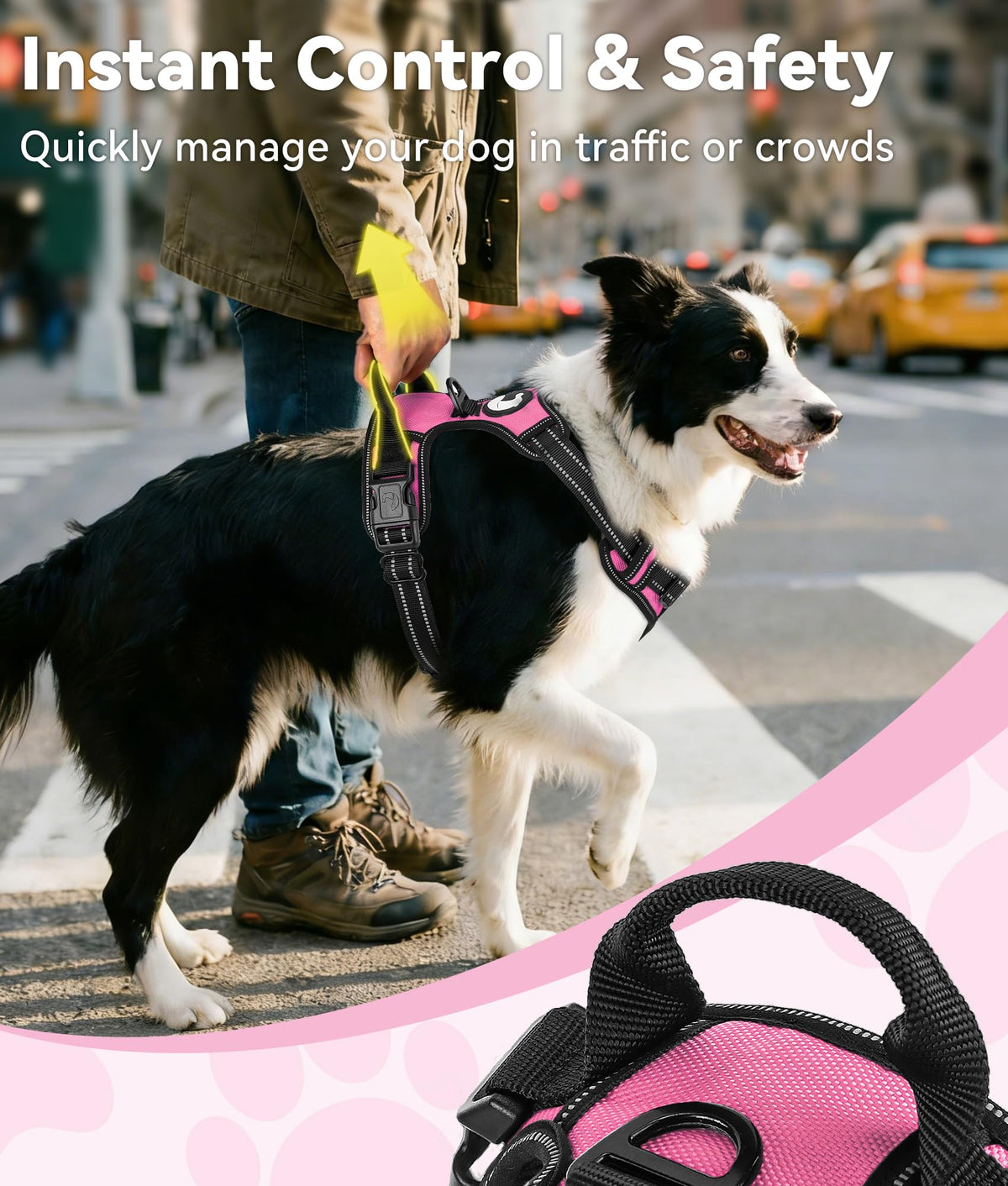 No Pull Dog Harness Medium Sized Dog (Medium / Hotpink)