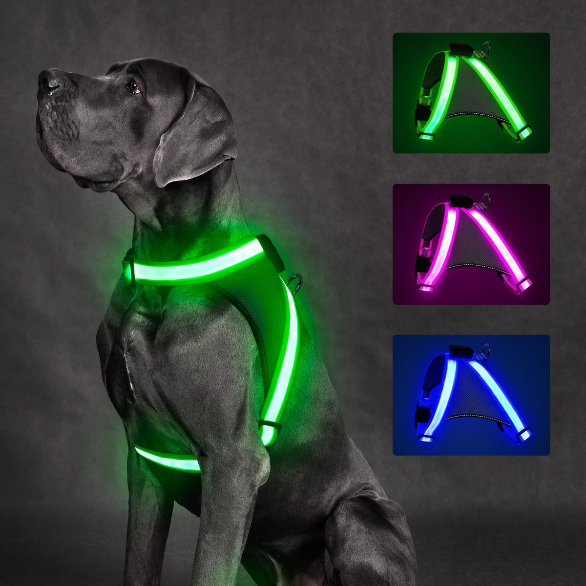 Light Up Dog Harness (Large / Green)