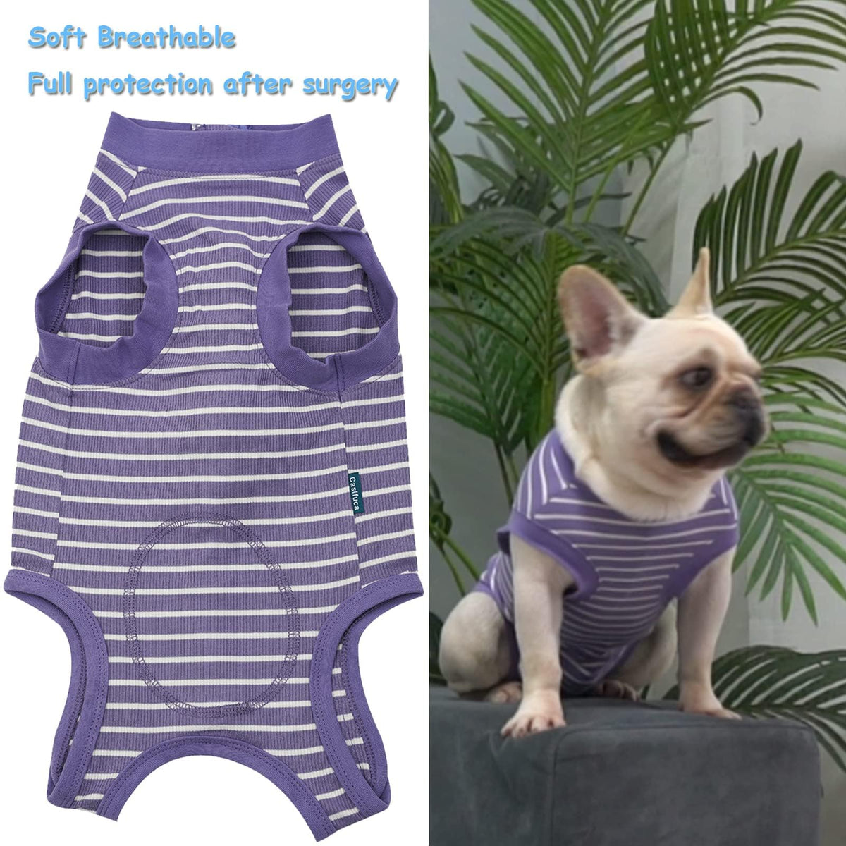 Dog Surgery Recovery Suit (3XL(Back 24-26" Chest 27-29" Weight 80-115lb) / Purplewhite)