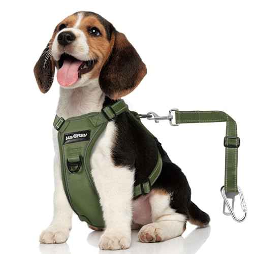 Dog Seat Belt Vest Harness for Car (Full Army Green / M (Chest: 19.7-26.4", Neck: 12.6-20.5"))