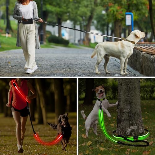 LED Dog Leash Waist Hands Free (Multicolor)