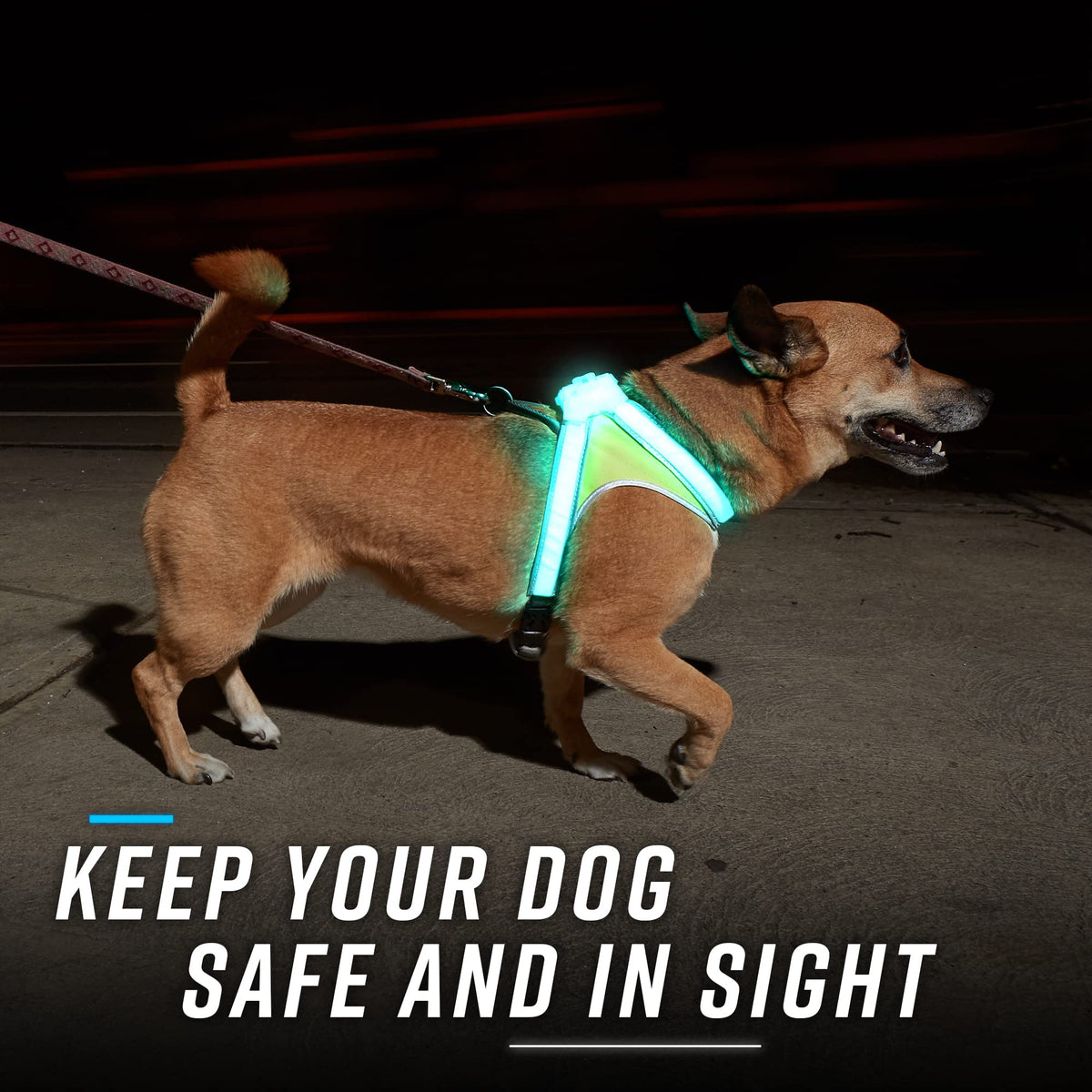LightHound Light Up Reflective Dog Harness and Wrist Light (Medium)