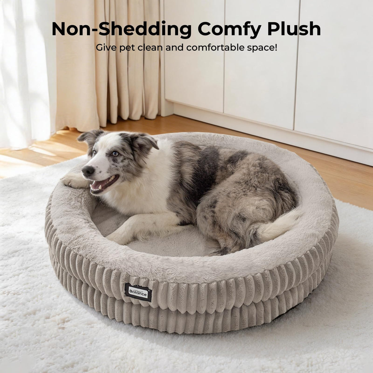Donut Dog Bed (36.0"L x 36.0"W x 7.5"Th / Wind Chime)