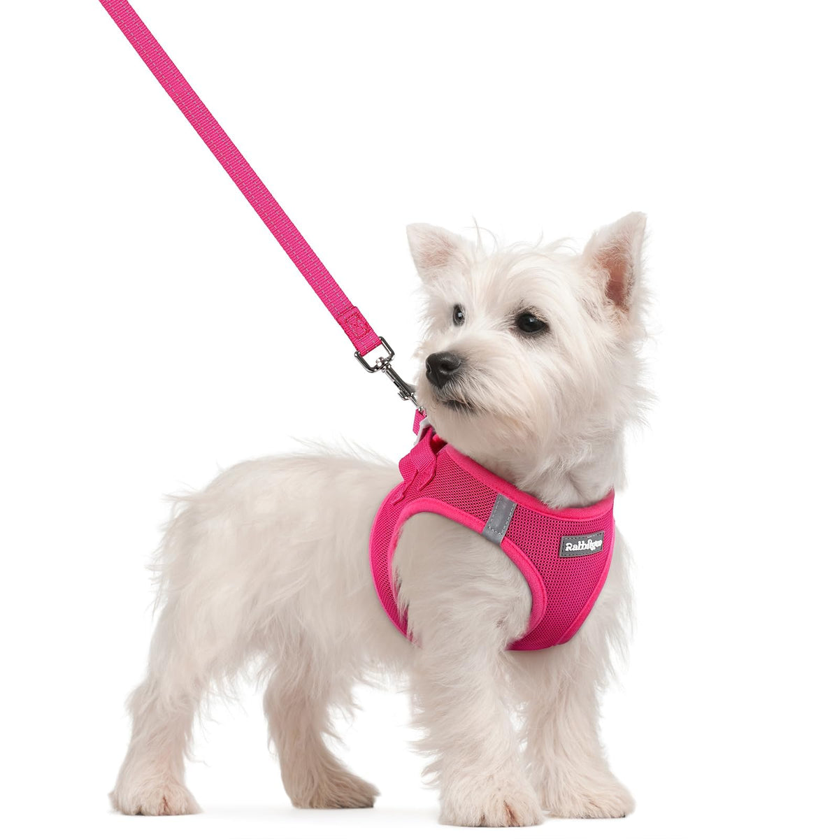 Dog Harness Small Sized and Leash Set (Rose Red / S (chest: 15.1 - 16.5"))