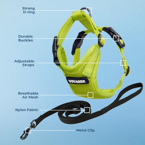 Voyager Step in Lock Cat Harness & Leash Set (Lime Green / S (Chest: 15 - 18"))