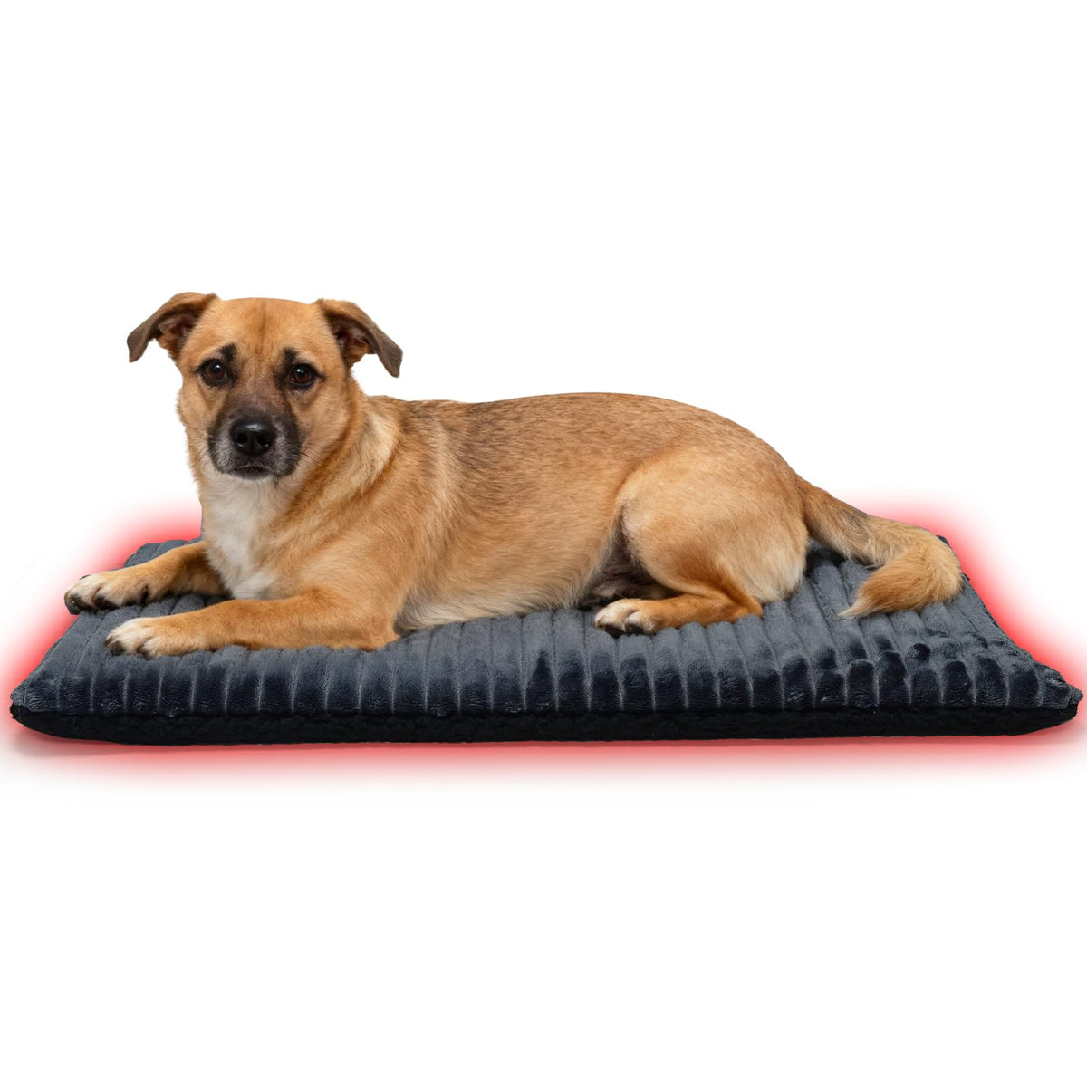 Self Warming Cat Bed Pad 30x20 inches Self (Large / Grey)