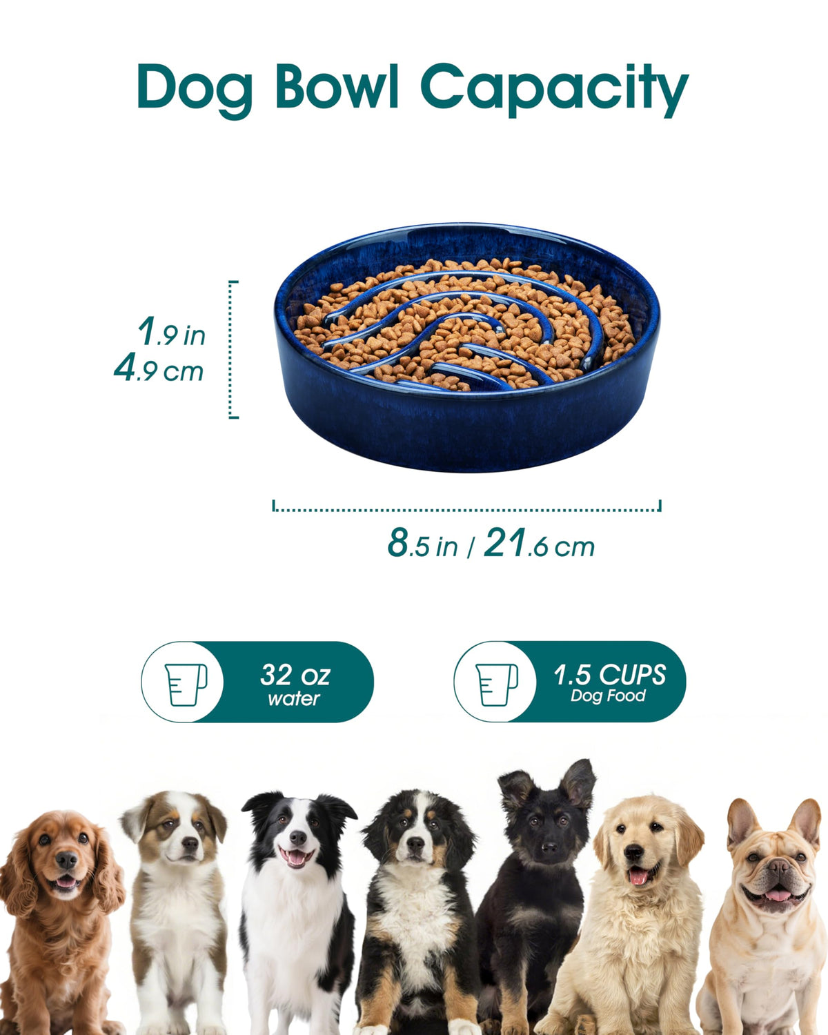 Slow Feeder Dog Bowl (Blue / 1.5 Cups)
