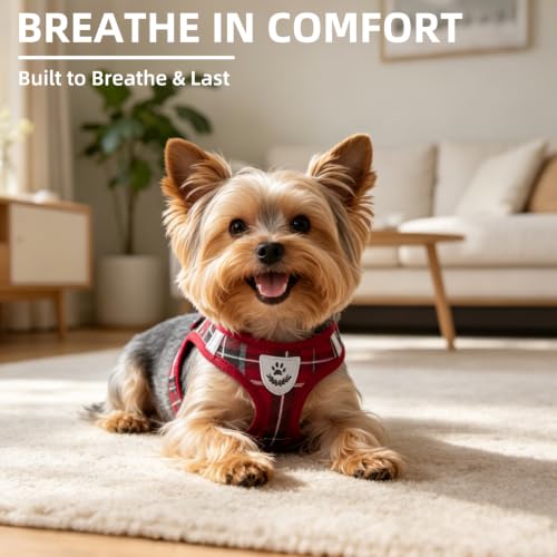 Dog Harness Collar and Leash Set No Pull for Small Medium Sized