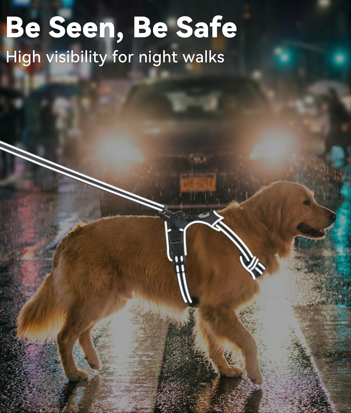 No Pull Dog Harness for Small Dogs (Small / Gray)