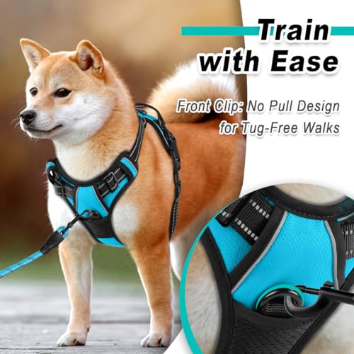 Dog Harness for Large Dog No Pull 2 Leash Clips Dog Vest (X-Large / Blue)