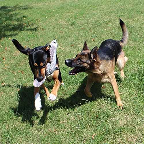 5 Pack Dog Squeaky Toys Three no Stuffing Toy and Two Plush with Stuffing for Small Medium Large Dog Pets (Plush and Stuffingless Combo)