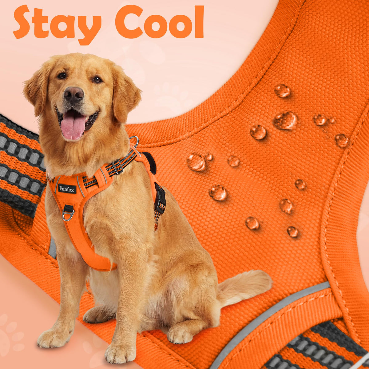 Dog Harness for Large Dogs (Orange / Large)
