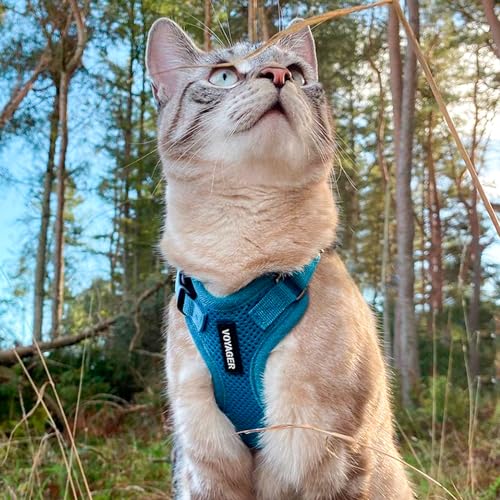 Voyager Step in Lock Cat Harness & Leash Set (Turquoise / XXS (Chest: 11.5 - 14"))