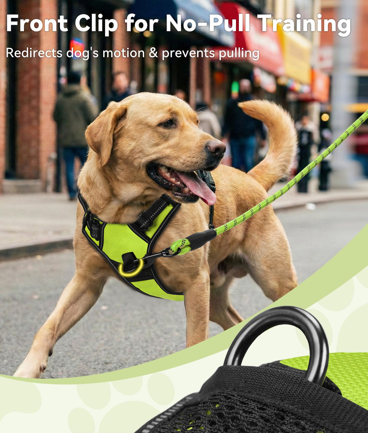No Pull Dog Harness for Small Dogs (Small / Green)