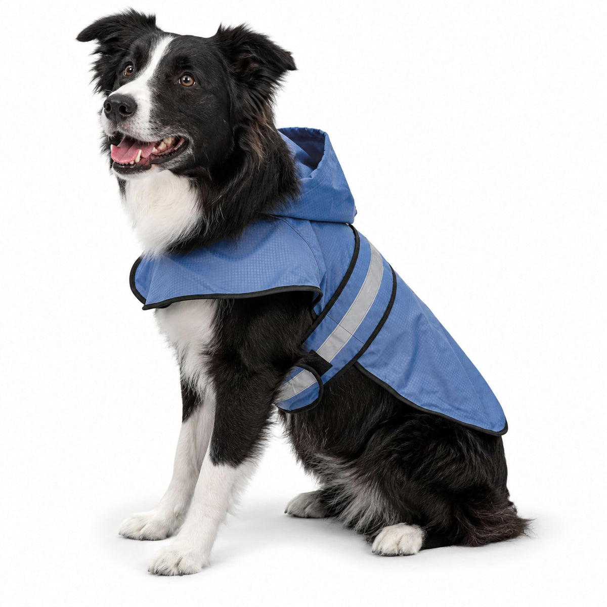 Dogg Toggs Raincoat (Blue / Medium)