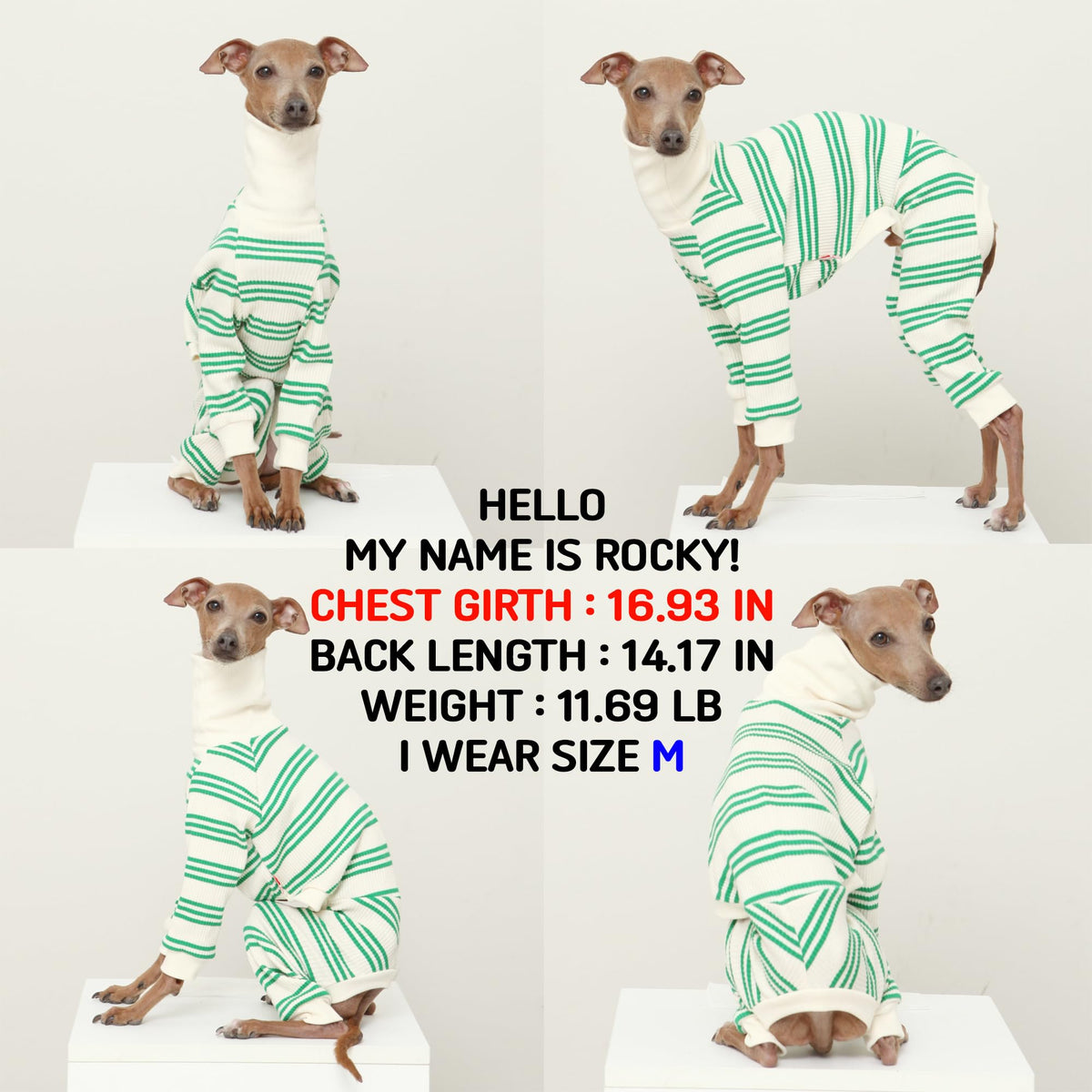 D Doggy Star Italian Greyhound Clothes Soft Stretchy Onesie Refined Stripe Outfit Whippet for Dog Coat (3XL / Onesie Green Stripe)
