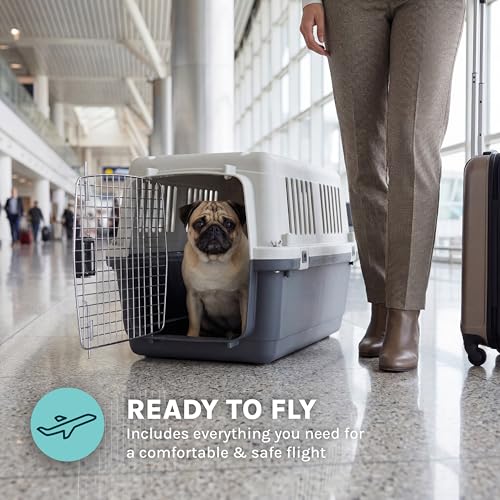 SportPet Airline Compliant SMALL 24" Travel Dog Kennel (Cream/Gray)