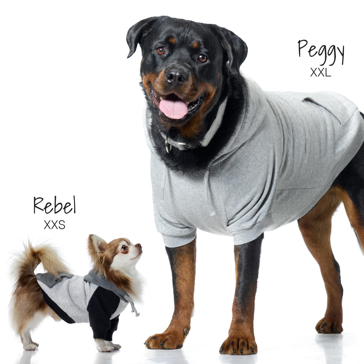 Rocky II Dog Hoodie (Gray Chesterfield Plaid / Large (40-60 lbs))