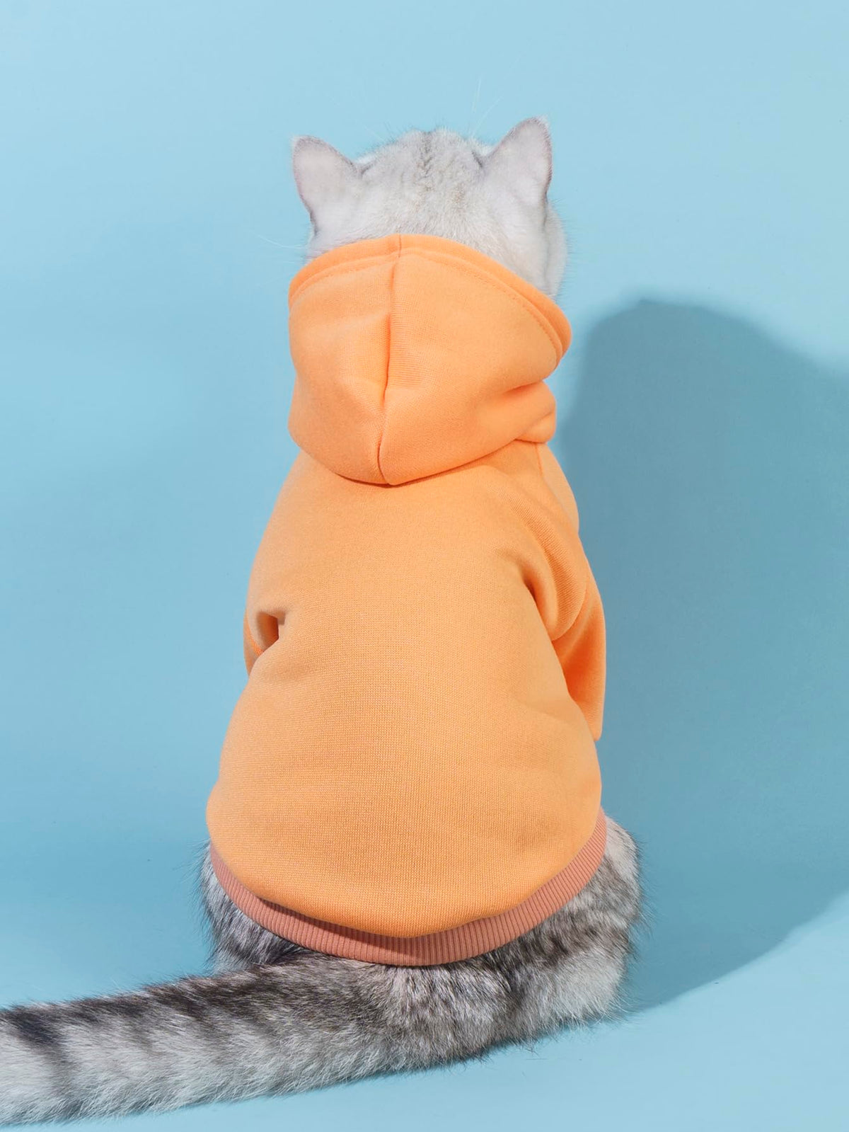 Basic Dog Hoodie Sweatshirt Puppy Sweater Warm Cat Costumes Pet Clothes for Chihuahua Puppy Kitten Small Medium Dogs Orange Large (Large / Orange)