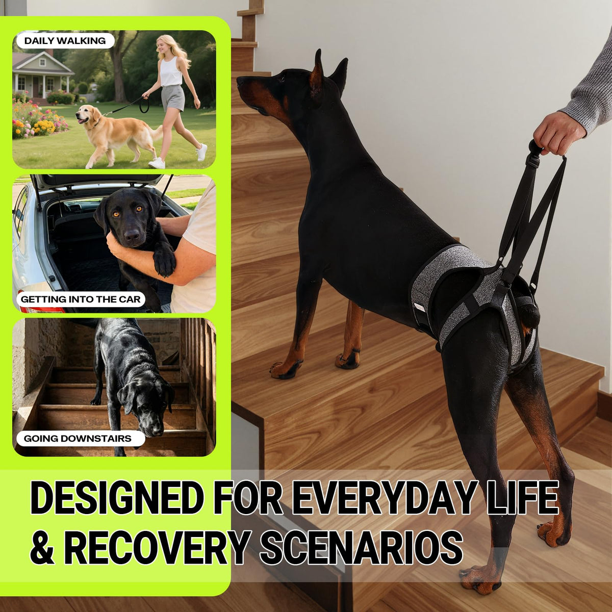 Dog Lift Harness (L / Grey)