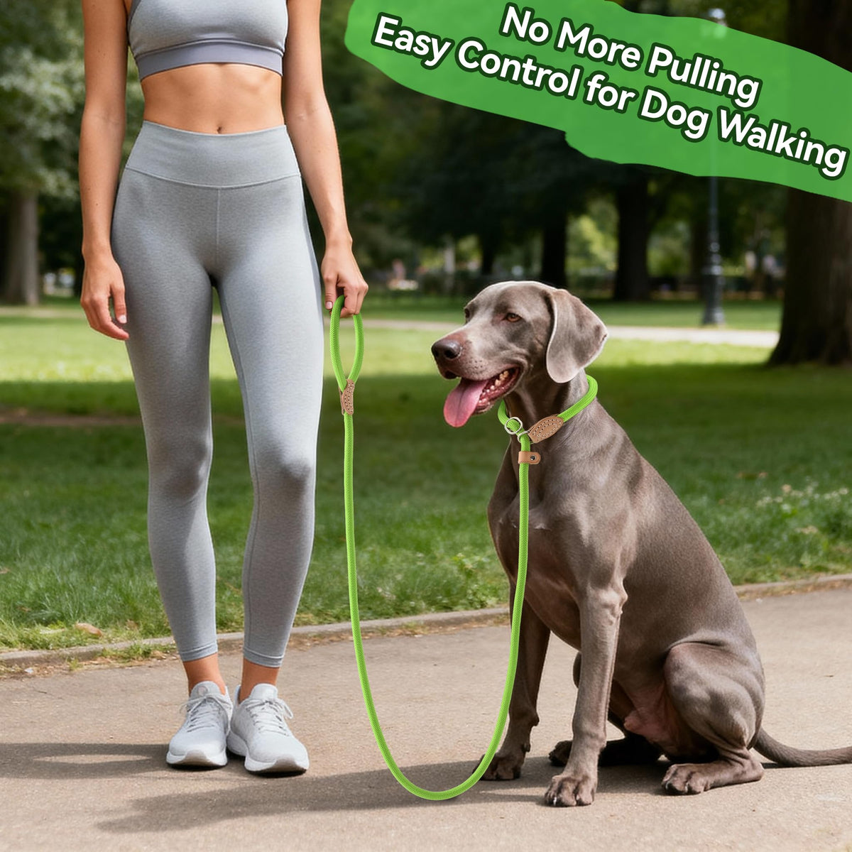 Heavy Duty Slip Lead No Pull Leash 6 (Lime Green / 4 Feet)