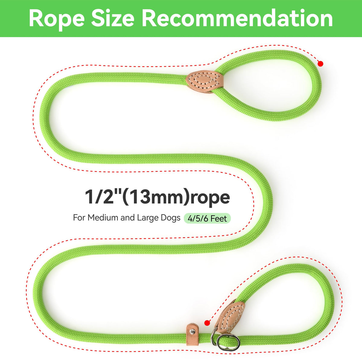 Heavy Duty Slip Lead No Pull Leash 6 (Lime Green / 4 Feet)