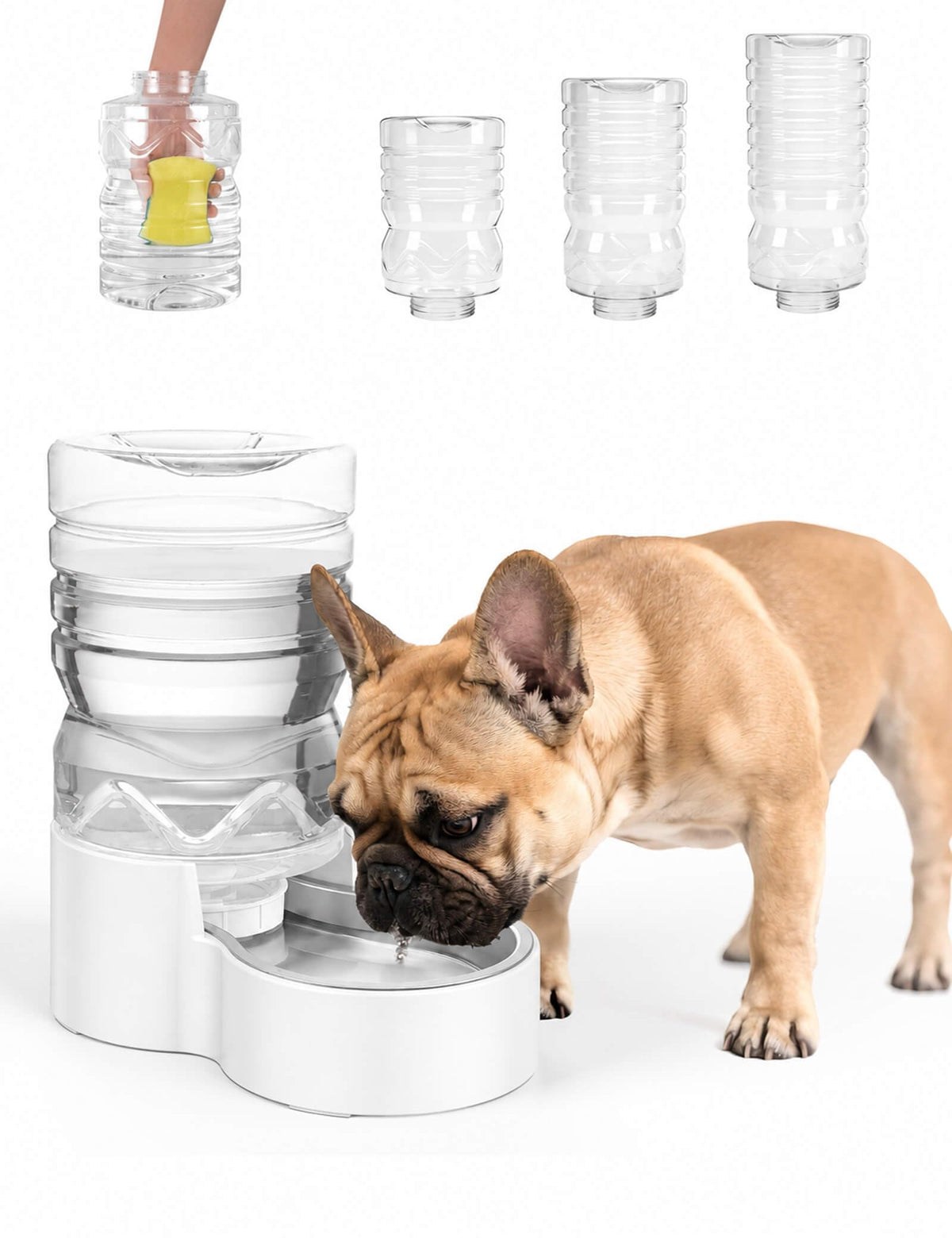 1.7 Gal Gravity Dog Water Dispenser (1.7 Gal (6.5L))