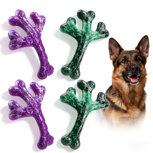 4 Pack Cactus (Purple & Green)
