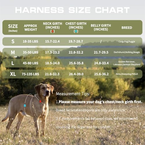 Dog Harness Tactical No Pull for Small Sized Dog with Handle (Green / S(Neck:16-22",Chest:20-28"),18-35 lbs)