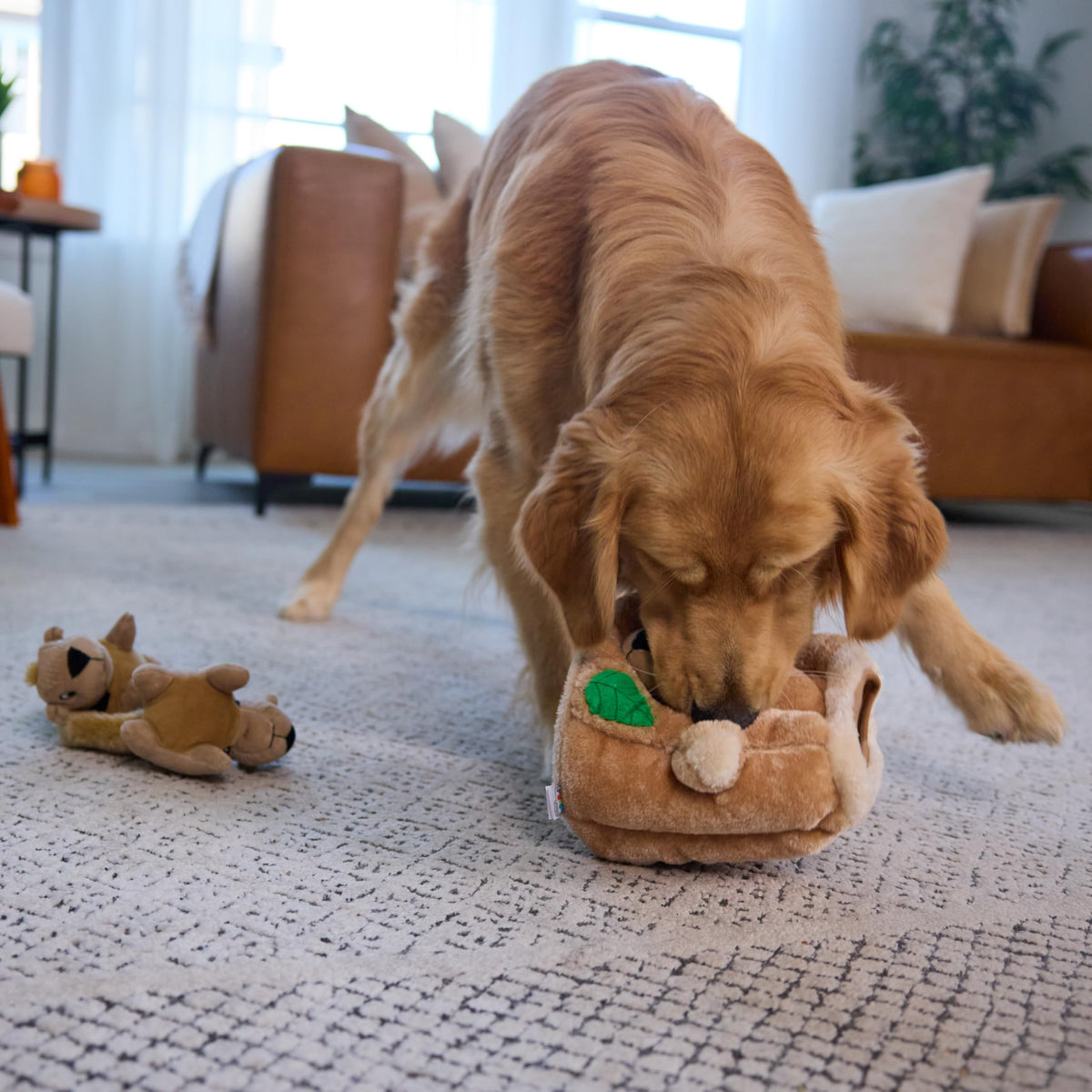 Hide-A-Squirrel Plush Squeaky Dog Toy, Large, 10.5" x 7.5" (Squirrel Large / Large (Pack of 1))