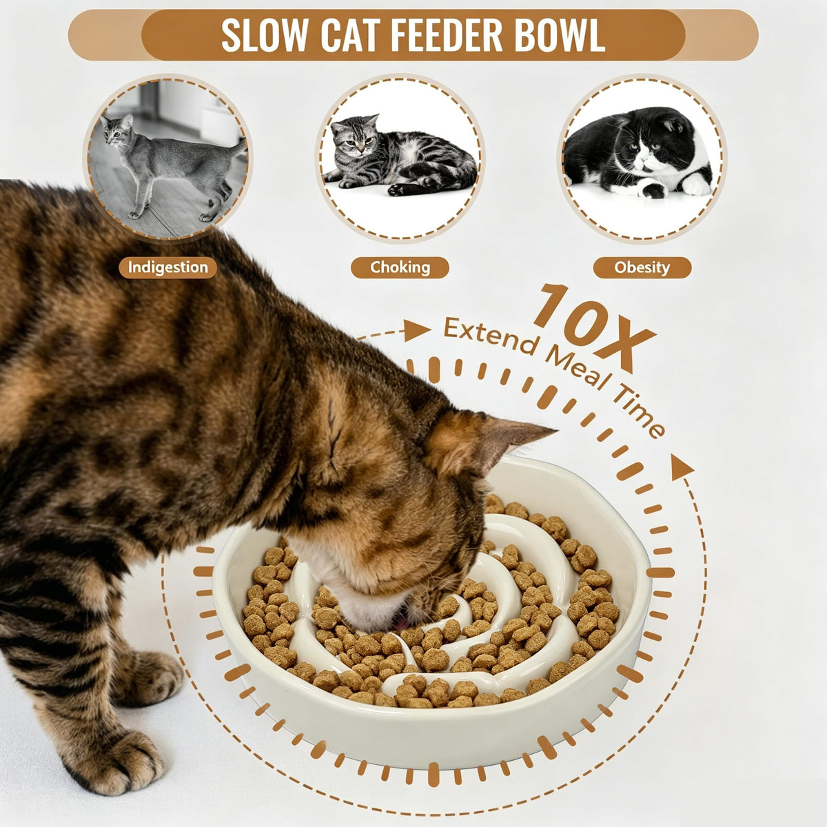 Slow Feeder Cat Bowl Set of 2 (Pure white)