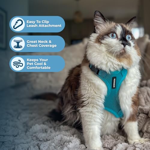 Voyager Step in Lock Cat Harness & Leash Set (Turquoise / XXS (Chest: 11.5 - 14"))