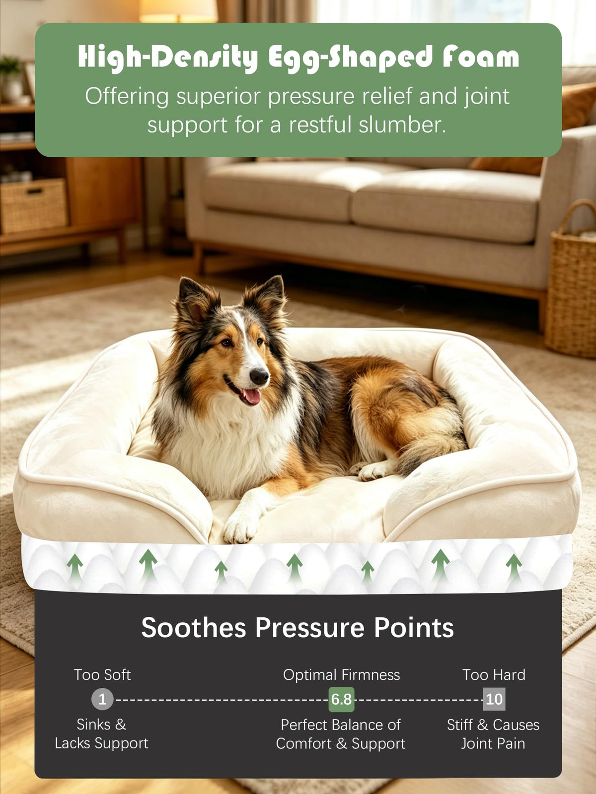 Orthopedic Dog Bed with Sides (38.0"L x 28.0"W x 6.5"Th / Ivory)