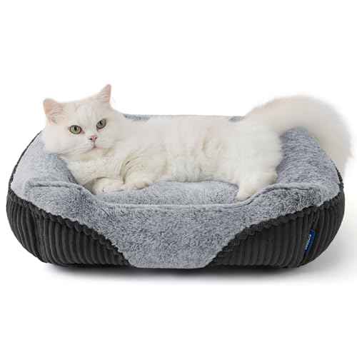 Washable Dog Bed Small Dog＆Cat Rectangle Kitten Puppy Bed (Grey / 20"L x 19"W x 6"Th)