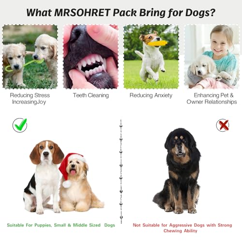 20Pcs Puppy Chew Toys for Teething (Rabbit)