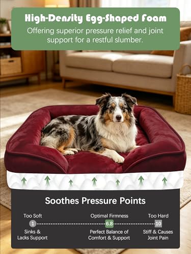 Orthopedic Dog Bed with Sides (35.0"L x 25.0"W x 6.5"Th / Burgundy)