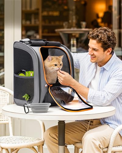 Cat Backpack Carrier (Gray-on-Gray Color Blocking / 12.6"L x 10.2"W x 16.5"H)