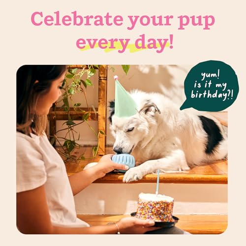 Pupsicle Interactive Dog Ball Toy for Dogs XL 75 lbs & Up (Blue / X-Large)