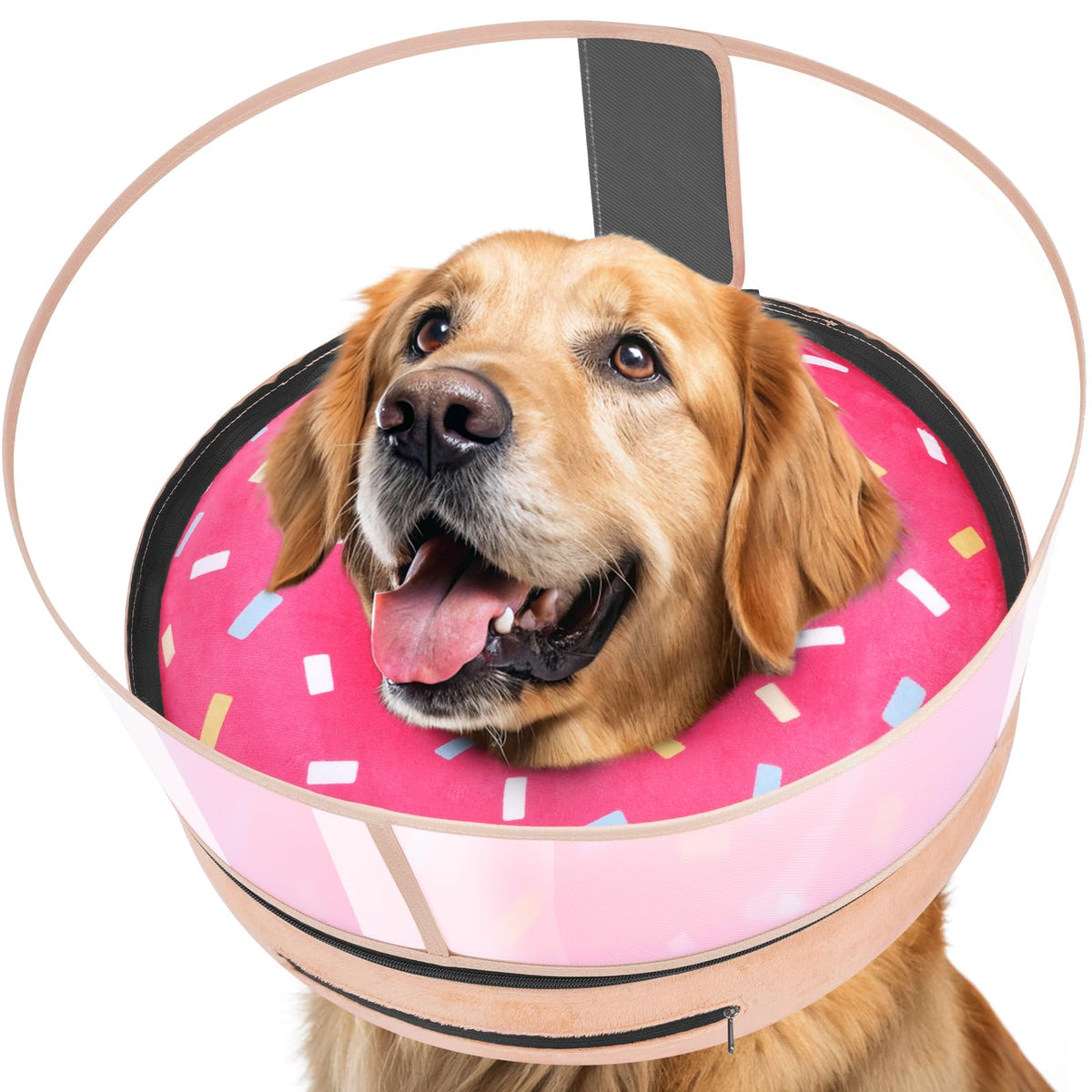 Inflatable Dog Cone with Anti (S (Neck: 5"-8"))