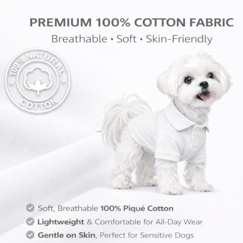 Basic Dog Polo Shirts Premium Cotton (XS (-6lbs) / White)
