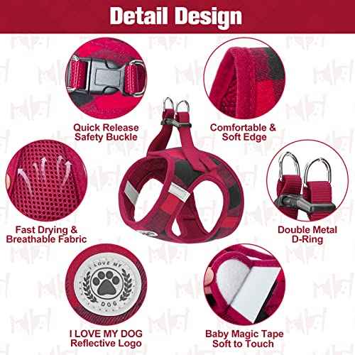 Small Dog Harness and Leash Set (Large(Chest Girth 18" - 21") / Red)
