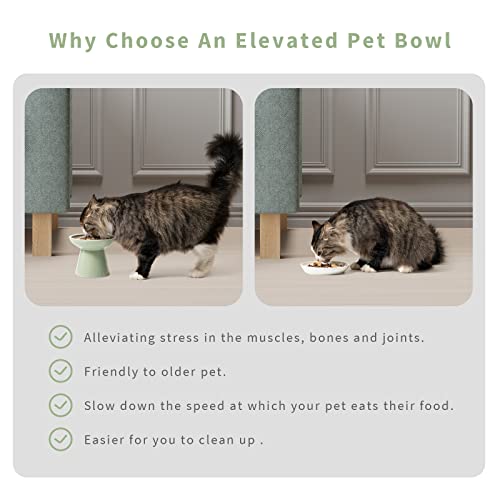 2 Pack Elevated Ceramic Cat Bowls Extra Wide for Food & Water + Food Mat Sage Green+Mat (Sage Green+Mat)